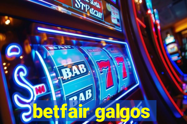 betfair galgos